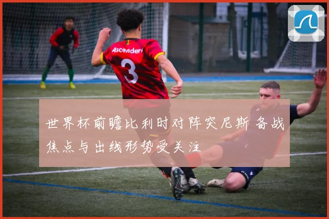 世界杯前瞻比利时对阵突尼斯 备战焦点与出线形势受关注