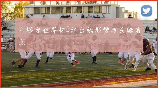 卡塔尔世界杯E组出线形势与关键看点