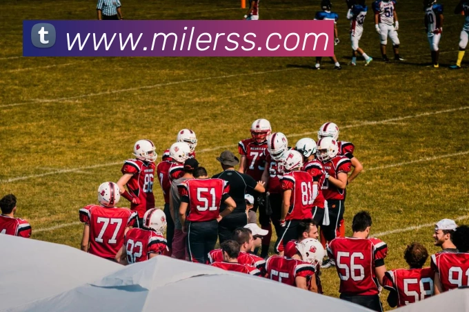 世界杯平台官网登录平台生态图